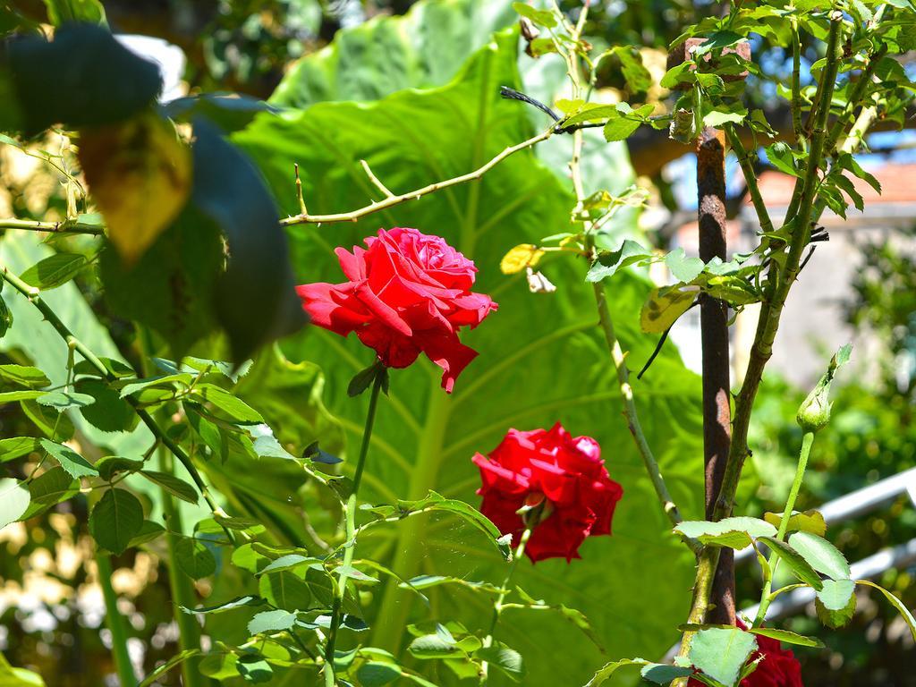 Hotel The Secret Garden Relais Piano di Sorrento Zewnętrze zdjęcie